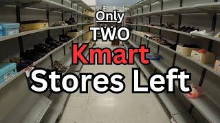 Only TWO Kmart Stores Left in the US, Let's Explore One! | Checking Out the Bridgehampton, NY Kmart