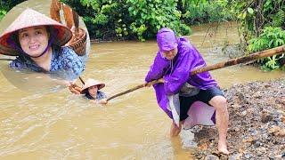 Dangerous flood waters. Chieu promptly assisted Phan. The cassava reminded Chieu of his memories