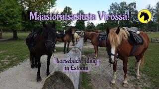 Riding trip in Estonia! Riding in the nature with lovely Estonian horses 