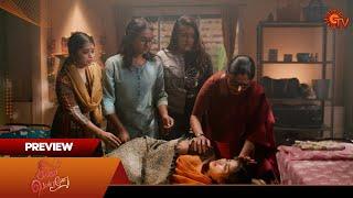 Singappenne - Preview | 13 Dec 2024 | Tamil Serial | Sun TV