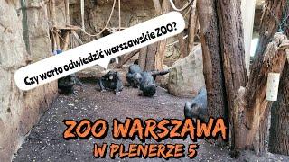 Zoo w Warszawie. Czy warto? W plenerze #5