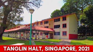 Goodbye Tanglin Halt | Singapore's First Modern Housing Estate | Tanglin Halt Singapore Tour 2021