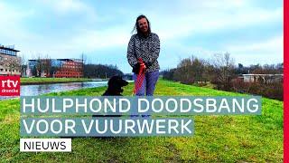 Juliëtte durft niet meer de straat op met hulphond door vuurwerk & Boer Harms overleden | Drenthe Nu