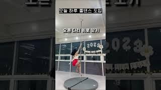 조금은 길지만 갱장히 예쁜 도입 #폴댄스 #pd #다이어트