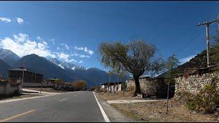 S3Ep1960 Cycling Tibet G318 4231 3222 meters above sea level Linzhi passing through Zhadi Village