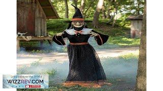 Whimsical Animated Witch Halloween Decoration Review