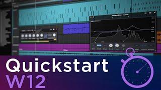 Waveform 12 Quickstart Guide | Free & Pro