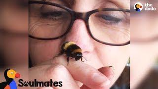 Bee and Woman Become Best Friends After Garden Rescue | The Dodo Soulmates