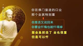 206佛门因果大，安忍很重要-20220725（因果）（忏悔)（安忍）仁泽法师