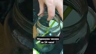 Маринованный чеснок за 24 часа!