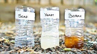 3 DIY Mosquito Trap Comparison Yeast vs Soap vs Borax