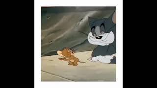 #Soheyana #Sohel #Ariyana #pranamse  Soheyana are Real Tom&Jerry 