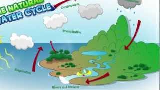 The Barwon Water Cycle