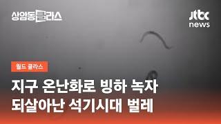 지구 온난화로 빙하 녹자…되살아난 석기시대 벌레 / JTBC 상암동 클라스