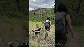 How to train for multi day hikes carrying 30lbs  I add weight to my daily dog walks #camping