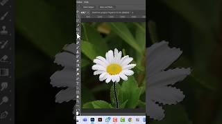 How to Blur Photo Background in Photoshop #shorts #blur