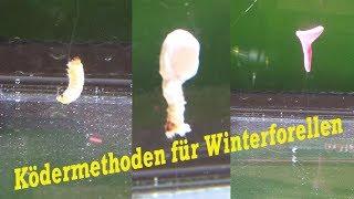 Ködermethoden für Winterforellen