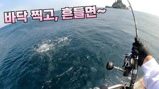 부시리 Jigging! "어종 한정 해제" 메탈마루!!