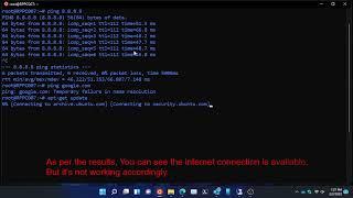 How to fix No internet connection issue on WSL Ubuntu