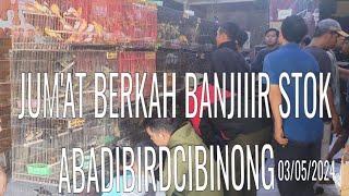 BANJIIIR STOK JUM'AT BERKAH 03/05/2024 ABADIBIRDCIBINONG_update harga & stok burung masteran