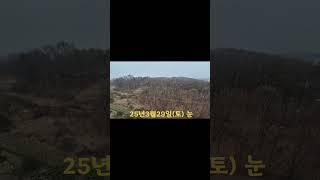 25년3월29일(토) 눈 #덕성태권도 #taekwondo #경기도태권도협회 #의왕덕성초등학교 #최승설사범님태권도 #karate  #유단자최승설 #최승설관장님