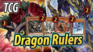 THEY'RE BACK! Dragon Rulers (TCG SEPT 2024)