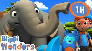  Blippi learns about Elephants | Animals for Kids | Animal Cartoons | Funny Cartoons