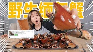 花300元网购20只巨大缅甸蟹！做油炸蟹味粒！| Crab Claws