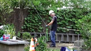 Alex & Doug Dropping Branches on 7/30/2021 at Brighton MA