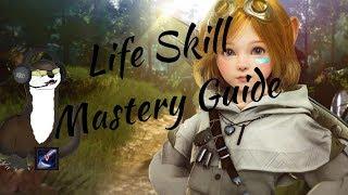 Black Desert | Life Skill Mastery Guide / Overview