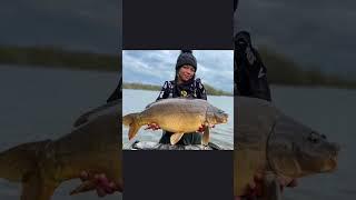 Girl Catches 23lb Of Pure Muscle! #shorts #carpfishing