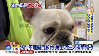 凌晨驚見法鬥流浪! 暖警安置PO尋狗啟事│中視新聞 20201025