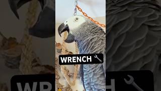A Box Wrench? 