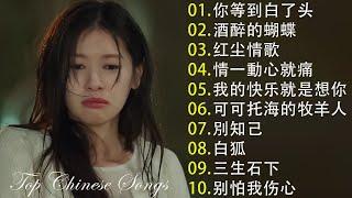 2024流行歌曲【無廣告】2024中国大陸流行歌曲️Top Chinese Songs 2024  你等到白了头 / 酒醉的蝴蝶 \ 红尘情歌 \ 情一動心就痛 \ 我的快乐就是想你  動態歌詞