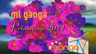 MGTV Primavera 2011