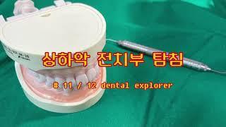 [치위생(학)과] 전치부 탐침 총정리 ㅣ #11/12explorer ㅣ 같이 연습해요  ㅣ study with me l 치면세마 실습 ㅣ 치위생과 실습 ㅣ 국가고시 실습