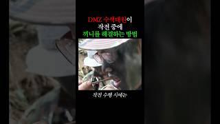 칼로리 2배 전투식량 먹는 DMZ 수색대원