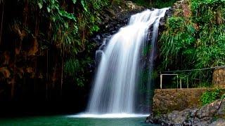 Visit to Annandale Waterfall - Grenada (View in HD)