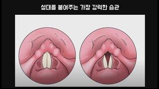 발성습관 05 성대를 강화하는 가장 강력한 습관