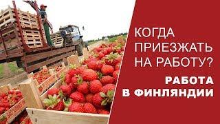 Едем на работу в Финляндию, когда ехать? Работа за границей без знания языка.