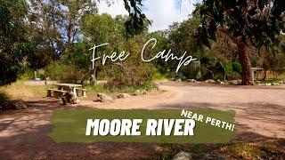 Free Camping Australia | Moore River | Perth Free Camp, walking trail, sheep, facilities & more!