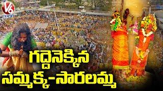 Devotees Throng To See Sammakka Sarakka Arrival In Medaram Gadde | Medaram Jatara 2022 | V6 News