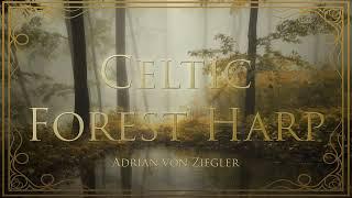 1 Hour of Relaxing Celtic Forest Harp