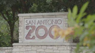 Resident's Day at San Antonio Zoo