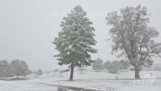 11-12-2024 Salt Lake City, Utah  - Salt Lake City's 1st measurable snowfall of the season