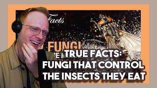 Chicagoan Reacts to True Facts: Fungi That Control The Insects They Eat by Ze Frank