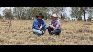 Regenerative Agriculture in Australia: A Path to a Healthier Planet and Profitable Farms