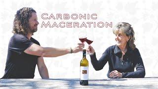 Carbonic Maceration - DEBUNKED!