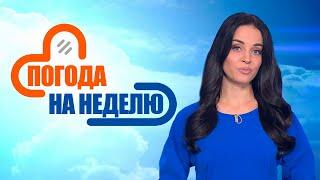 Осенняя прохлада приближается! | Погода в Беларуси с 18 по 24 августа | Плюс-минус