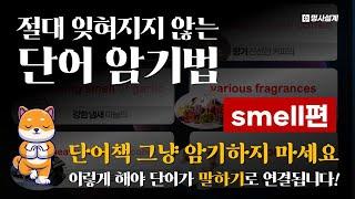 영어 INPUT의 정석: '명사'가 아니라 '명사구'로 입력하라 [smell편]